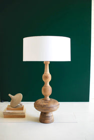 Antique Brass Goose Neck Table Lamp With Enamel Shade by Kalalou
